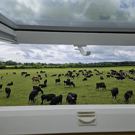 Konukevi Lovely Laois Loft